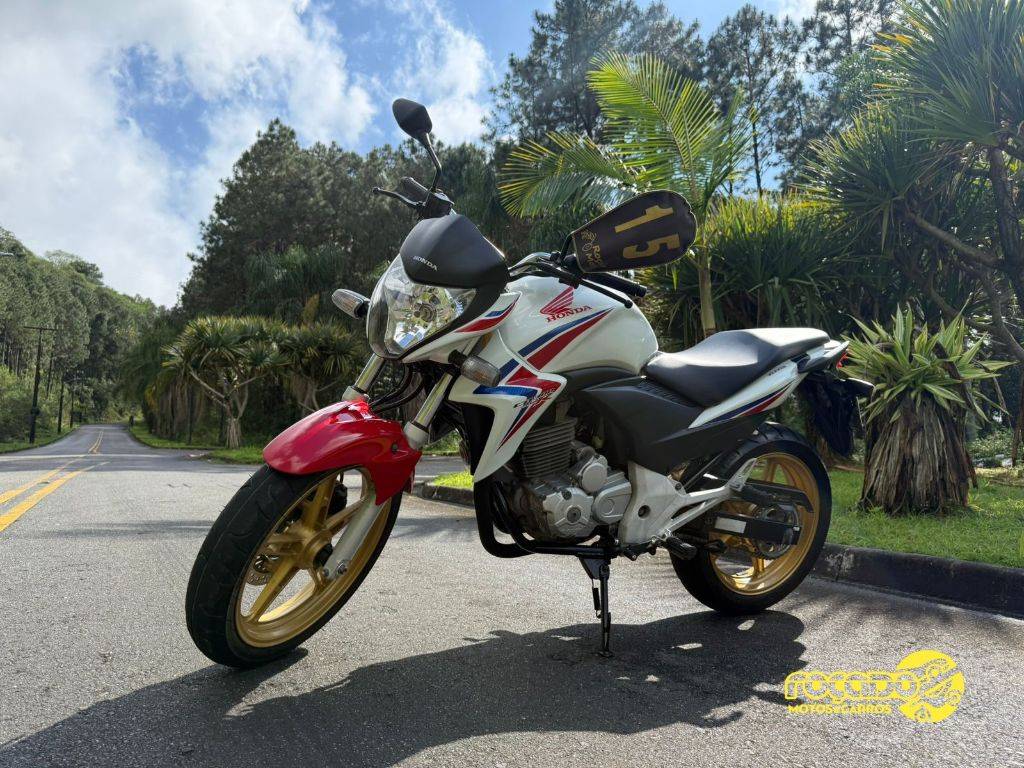 Honda CB 300R/ 300R FLEX    2015