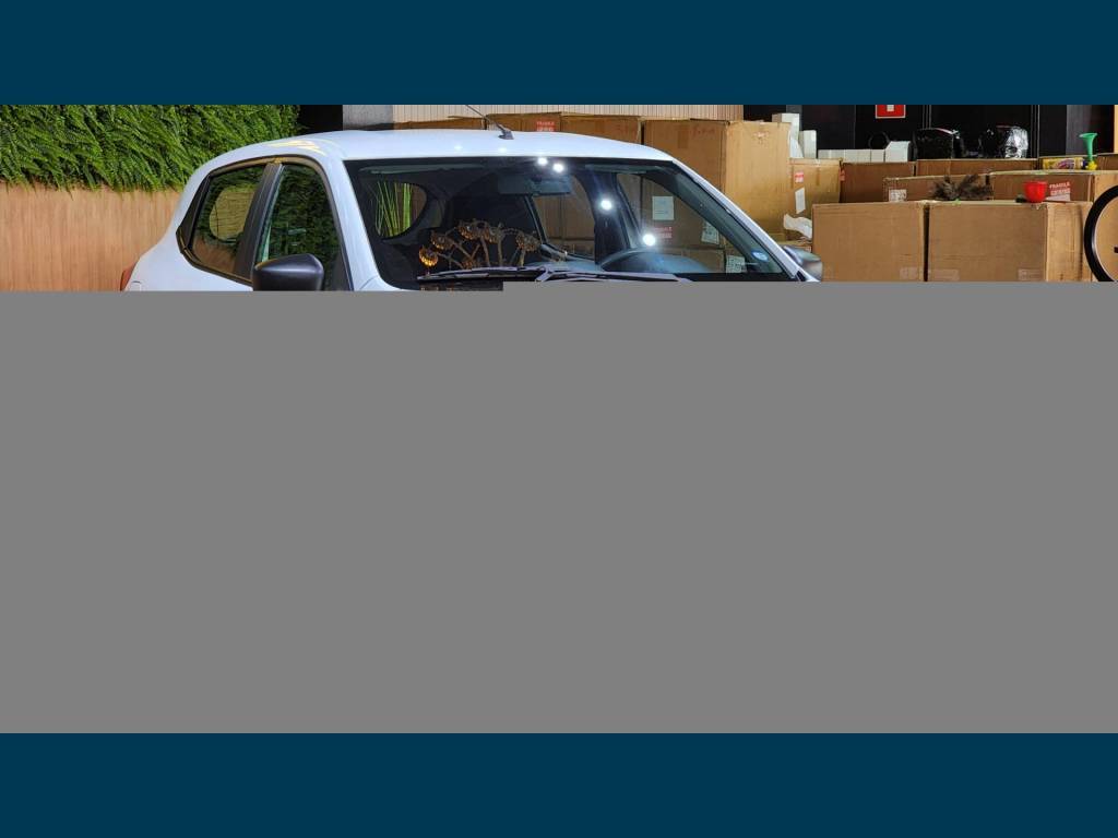 Renault Kwid     2024