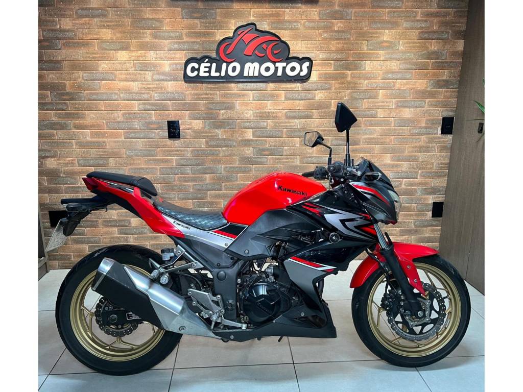 Kawasaki Z /Z ABS    2018