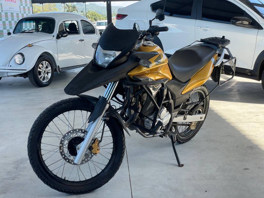 Honda XRE 300 FLEX    2010