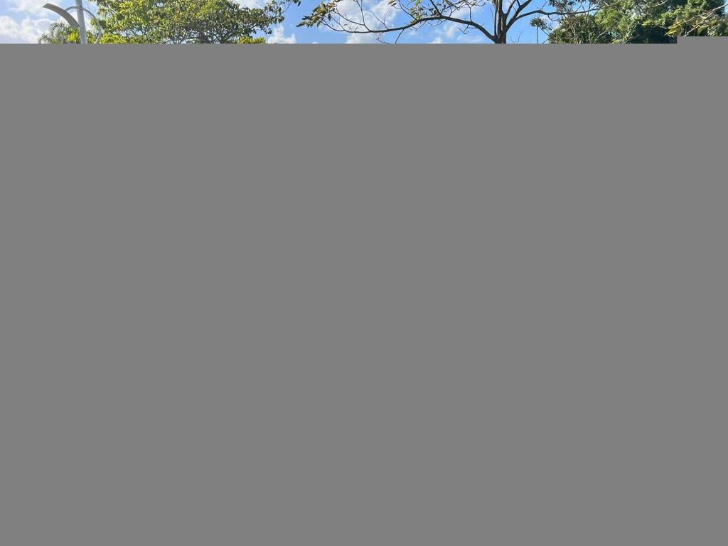Renault Sandero 1.6 privilege    2014