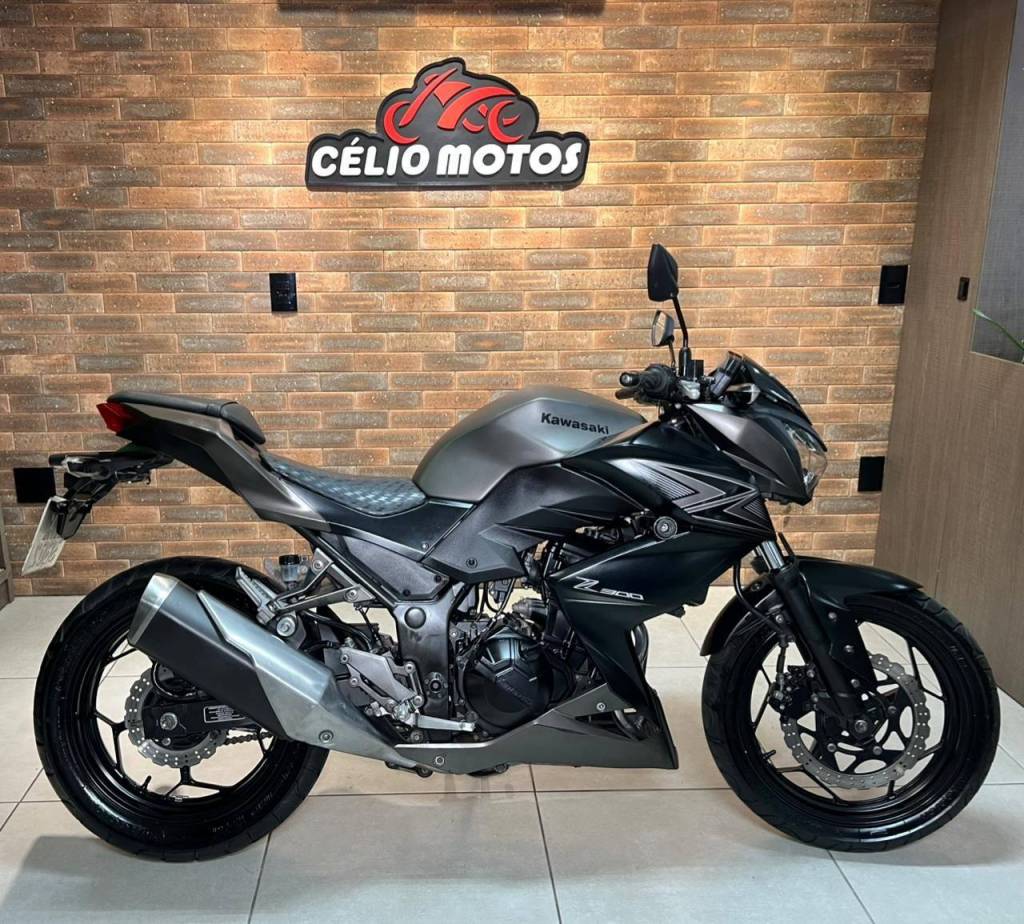 Kawasaki Z 300    2016