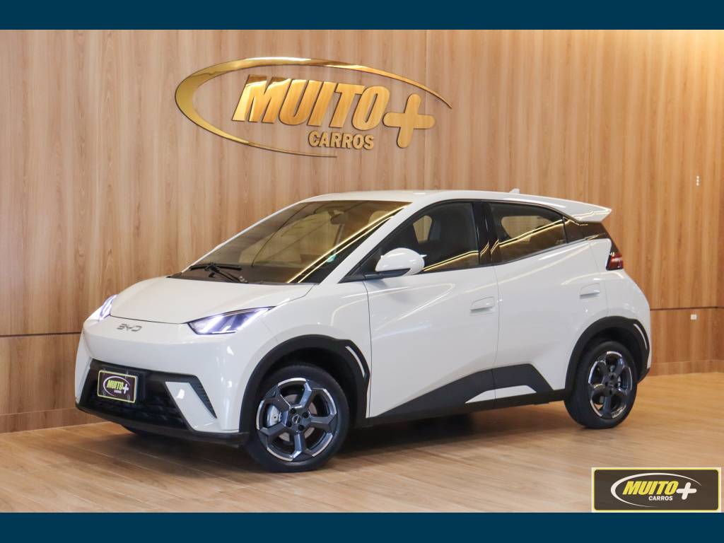 BYD Dolphin Mini 0.8 6V    2025