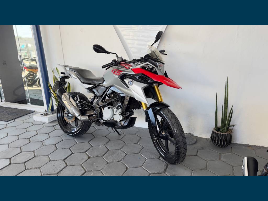 BMW G     2019