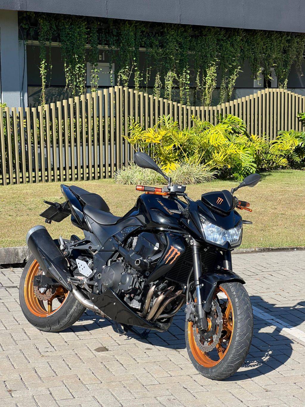 Kawasaki Z 750    2011