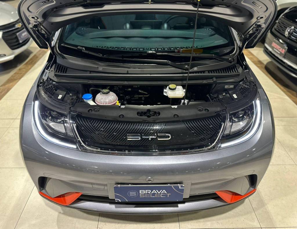 BYD Dolphin EV (elétrico)    2024