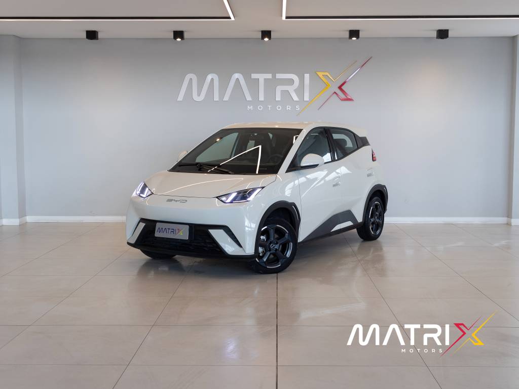 BYD Dolphin Mini (Elétrico)    2024