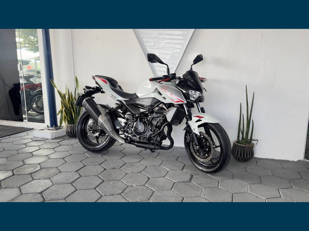 Kawasaki Z     2022