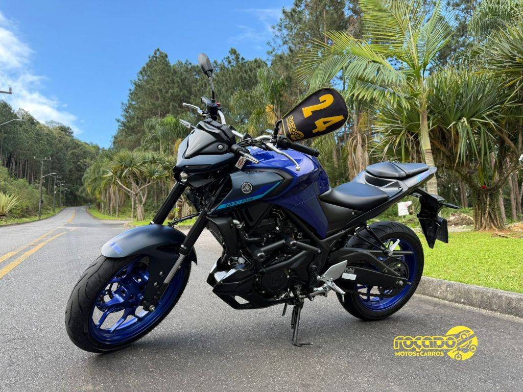 Yamaha MT MT-03 321/ABS    2024