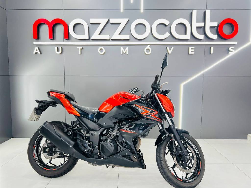 Kawasaki Z 300    2016